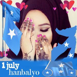 Meet your Posher, Hamdi